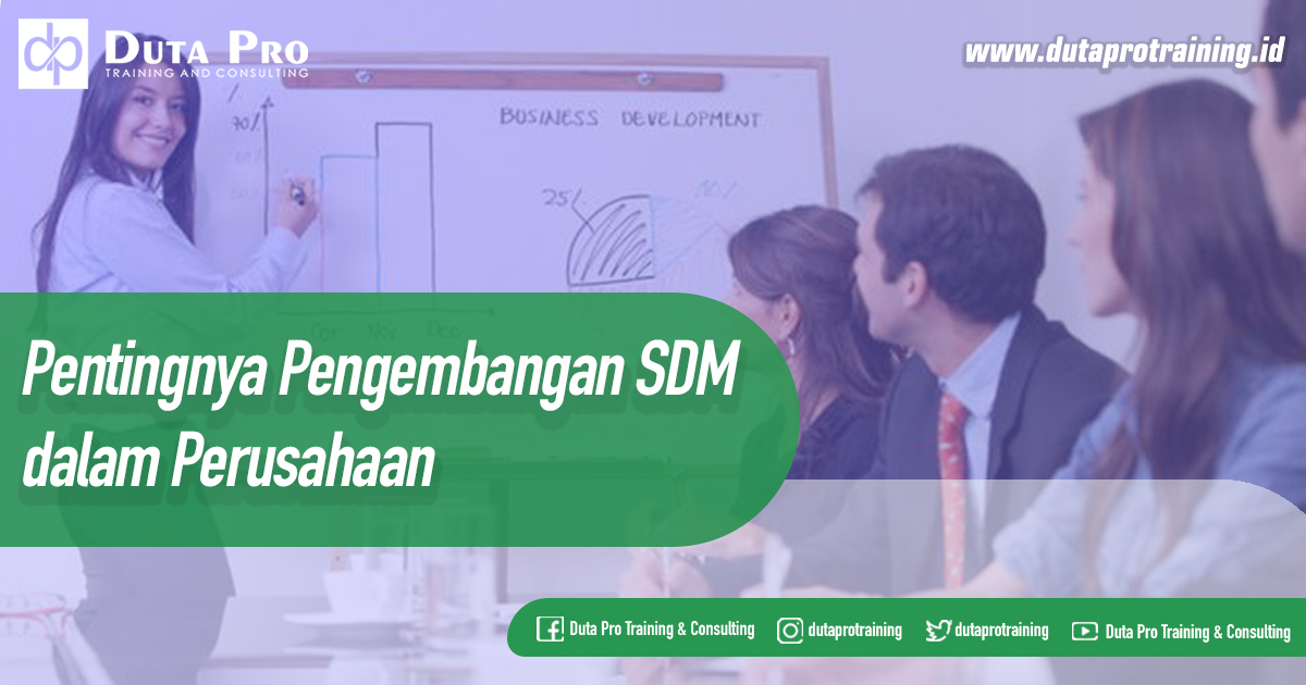 Pentingnya Pengembangan SDM dalam Perusahaan
